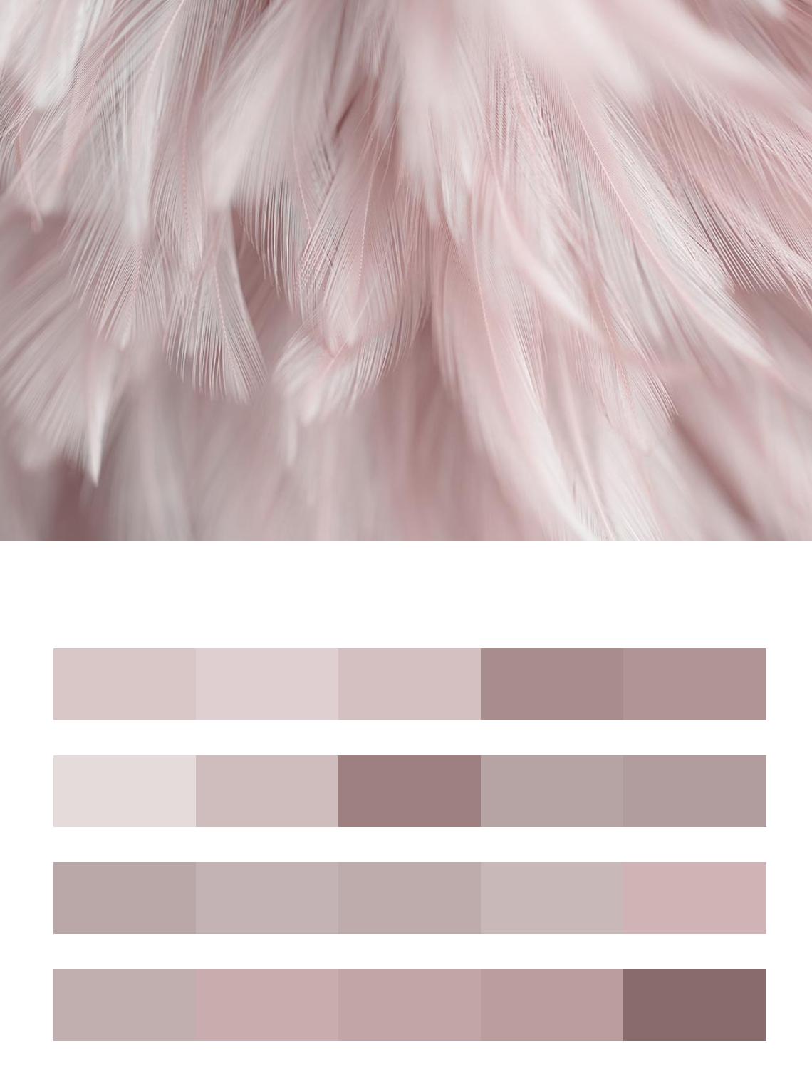 Розовые перья цвета